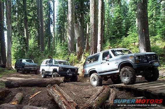 Bob K, Toni and I running the Naches Trail, from Government Camp towards Kanar Flats