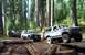 1996 Ford Bronco - Bob K, Toni and I running the Naches Trail, from Government Camp towards Kanar Flats