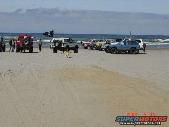Beach scene with multiple SUVs and trucks, including a white Bronco with a pirate flag