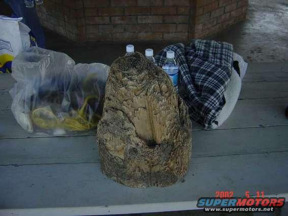 Driftwood sculpture on a table with plastic bags and bottles nearby