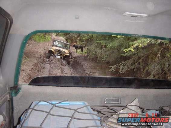 Yellow Jeep Wrangler stuck in mud on a dirt road, with a black dog standing nearby. View from inside another vehicle