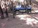 1996 Ford Bronco - The trees are black with no vegetation.