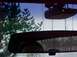 1992 Ford Crown Victoria - Pic of the Radar Detector, Cobra!
