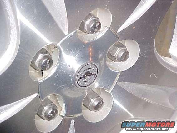 mvc018f.jpg 