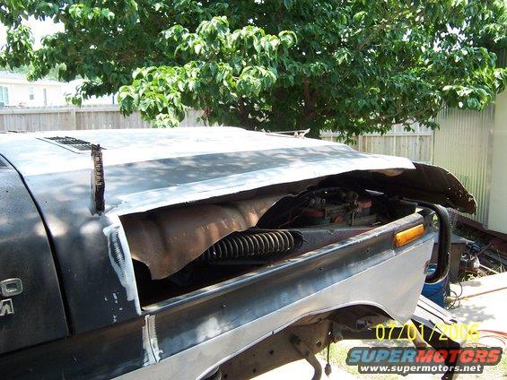 100_0450.jpg hood cut