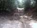 1996 Ford Bronco - A vehicle navigates a muddy, wooded trail with a large puddle.