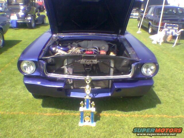 Purple 1965 Ford Mustang coupe with hood open, trophy in front, parked on grass