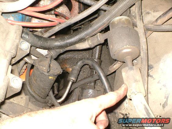 Engine bay detail showing hoses, a filter, and a hand pointing