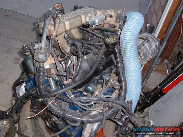 Engine assembly with blue hoses and wiring harnesses, showing an alternator and intake manifold