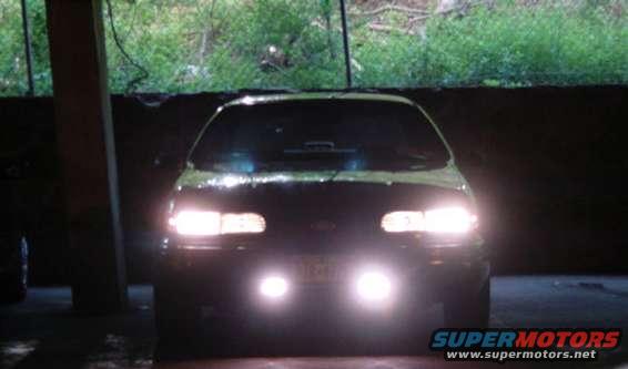 nighteyes2.jpg Now for how bright they really are!