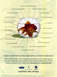 1999 Mercury Grand Marquis - Advertisement for Ford, Lincoln, and Mercury Certified Pre-Owned vehicles with a goldfish illustration.