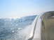 1979 Ford F-250 - A boat speeds across the water under a clear blue sky, with sunlight glinting off the waves.