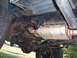 1988 Ford Pickup - The underside of a pickup truck reveals its suspension and exhaust components, suggesting a model from the 1980s.