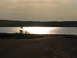 2003 Ford Crown Victoria - A sunset over a body of water, with a lone tree silhouetted against the shimmering light.