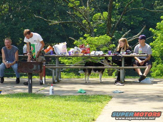 People and dog at a picnic table with food and drinks
