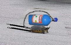 Turtle carrying a blue NOS tank with a hose