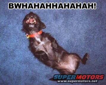 Black dog on its back with mouth open and collar. Text overlay says 'BWHAHAHAHAAH!'