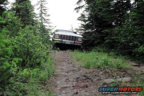 1979 Ford Bronco driving up a wooded dirt road