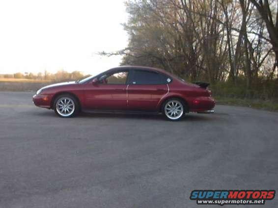 picture_247.jpg My taurus