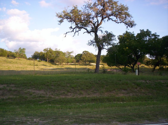 Grassy hill with trees under a cloudy sky