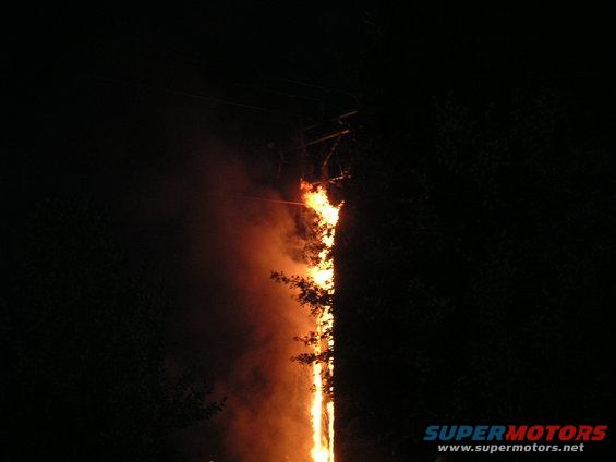 Utility pole engulfed in flames at night, with smoke and fire spreading upwards