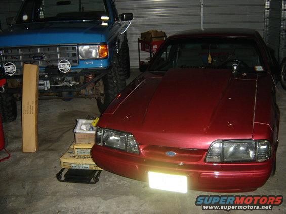 mustang-008.jpg 