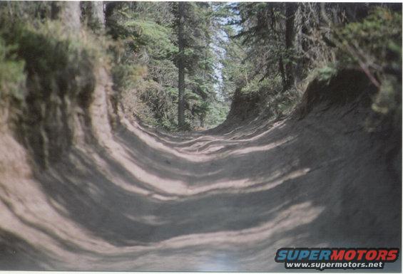 traildunes1.jpg 