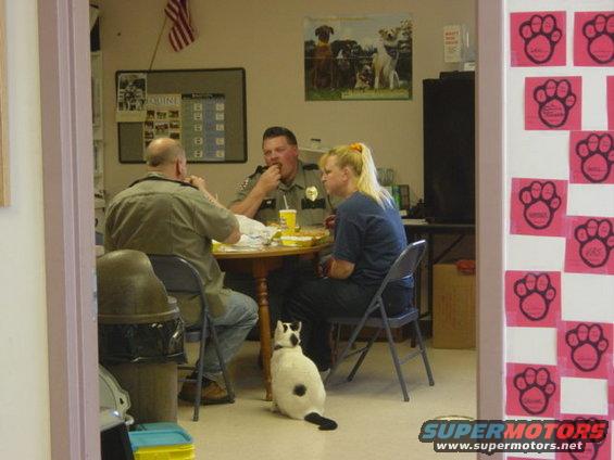 Three people sit at a table eating, with a cat sitting on the floor nearby. An American flag is visible on the wall