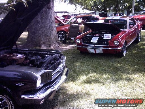 Black and red classic Ford Mustangs parked on grass, hoods open. Red Mustang has white racing stripes