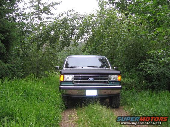 Front view of a green Ford F-Series truck from the early 1990s parked on a dirt path surrounded by trees and tall grass