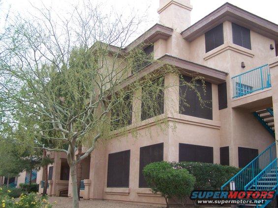 Building exterior with a large tree in front, blue stairs on the right, and a watermark at the bottom