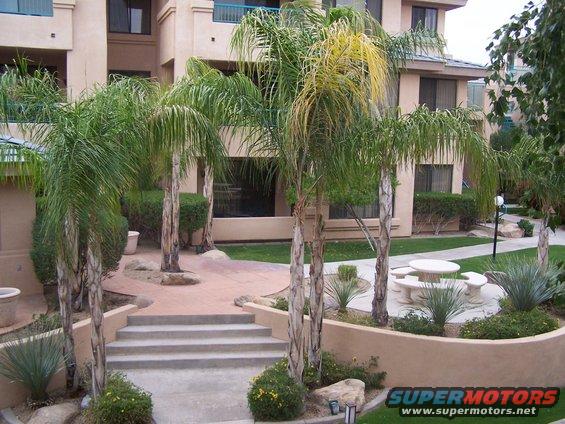 Courtyard with palm trees, concrete steps, and a picnic table outside apartment buildings