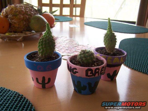 Three small potted cacti with painted designs on a wooden table, with fruit in the background