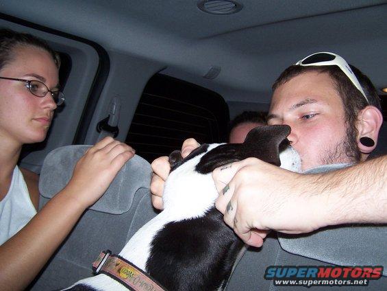Woman in glasses looks left, man kisses dog's nose, another person behind them, inside a vehicle