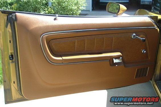interior-drivers-door-panel.jpg Drivers door panel