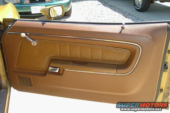 Pass side door panel