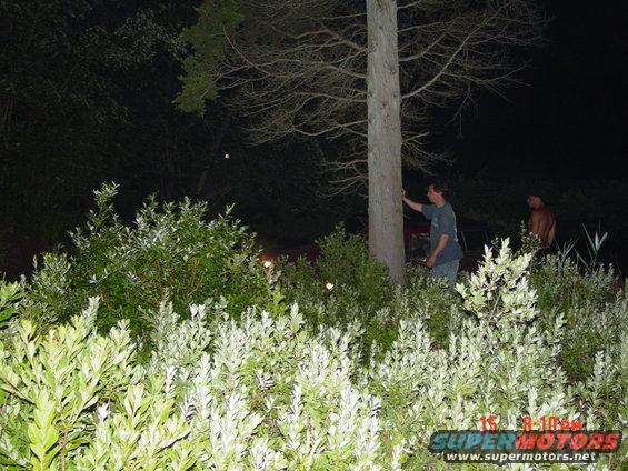 Two guys stand near a red vehicle partially obscured by bushes and a tree at night. A watermark reads 'SUPER MOTORS'