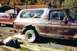 1979 Ford Bronco - We put on smaller tires to take weight away from when we was pulling the rearend out of it.