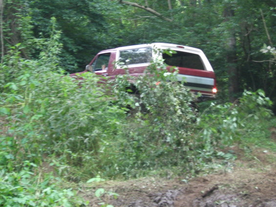 Red and white 1993 Ford Bronco driving on a dirt path through trees