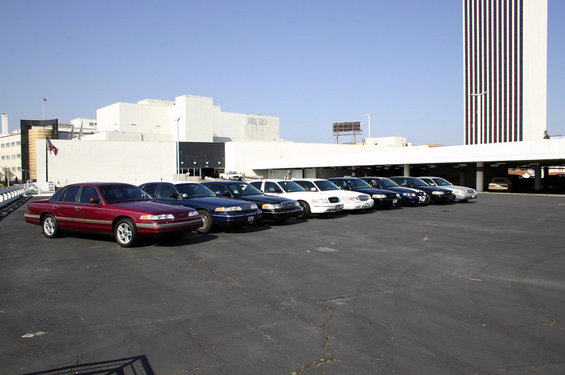 261img_0257_sm.jpg Peterson's meet 04/2005