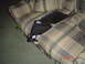 2005 Dodge 1500 - Laptop on couch with a toy car on the floor.