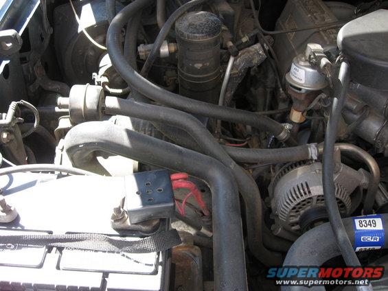 Engine bay with battery, alternator, and various hoses and components