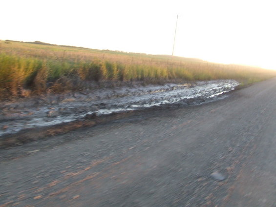 dscf1224.jpg 