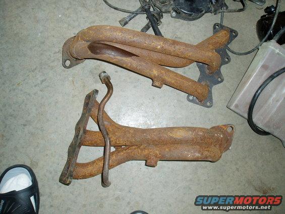 yodas-011.jpg
