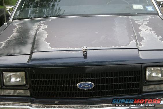Dark blue Ford Crown Victoria front grille and hood with peeling paint. Chrome emblem on hood