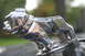 1989 Ford Crown Victoria LTD - Chrome Mack bulldog hood ornament, a classic symbol for Mack Trucks.