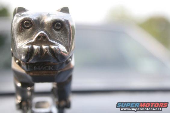 Close-up of a chrome bulldog hood ornament with 'MACK' visible on its collar