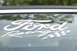 1989 Ford Crown Victoria LTD - Close-up of a Ford Racing sticker on a car window, with a Supermotors.net watermark.
