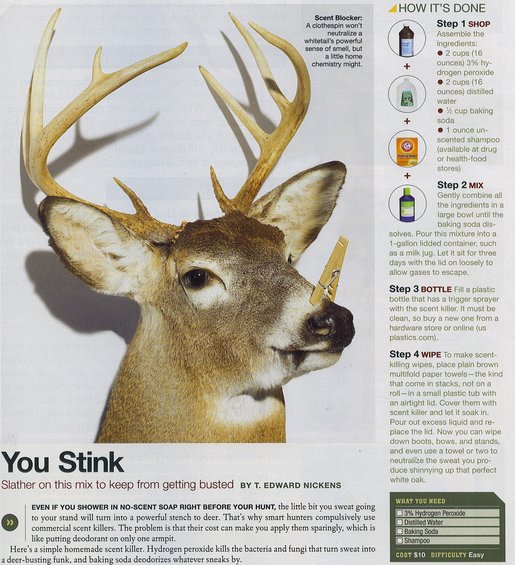 taxidermied deer head with a clothespin on its nose, next to instructions for making scent killer
