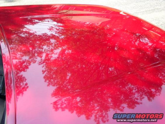 Red car hood with reflections of trees and sky. Supermotors.net logo visible